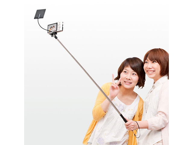 WTFSG-selfie-stick.jpg