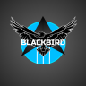 _BLACKBIRD_