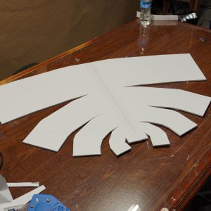 New nose cut out!