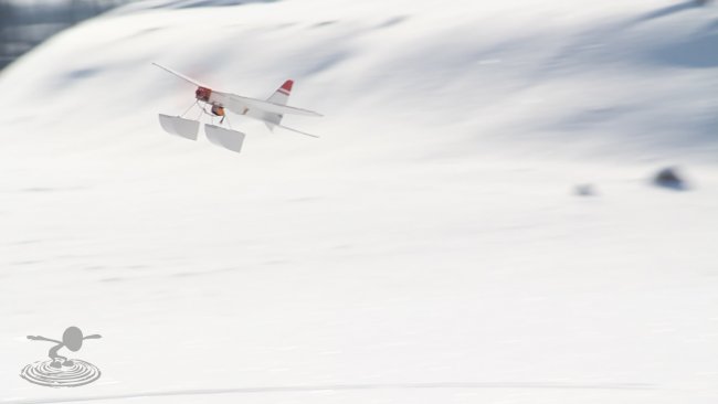 snowball-21-jpg_1392660366.jpg