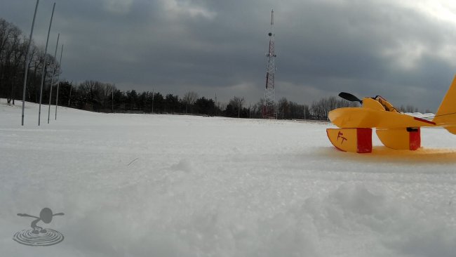 snowball-16-jpg_1392660357.jpg