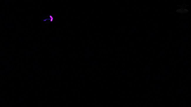 airframelighting-9-jpg_1398795933.jpg
