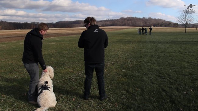 dogs-4-png_1420661686.jpg