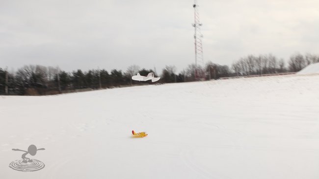 snowball-17-jpg_1392660358.jpg