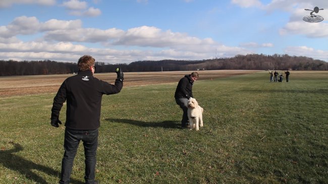 dogs-6-png_1420661678.jpg
