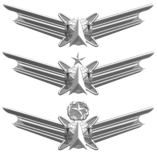 USAF_-_Space_Professional_Badges.png